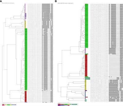 A comparative analysis of molecular genotypes of Mycobacterium tuberculosis isolates from HIV-positive and HIV-negative patients